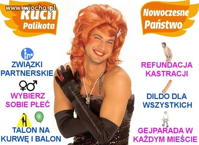 Ruch palikota