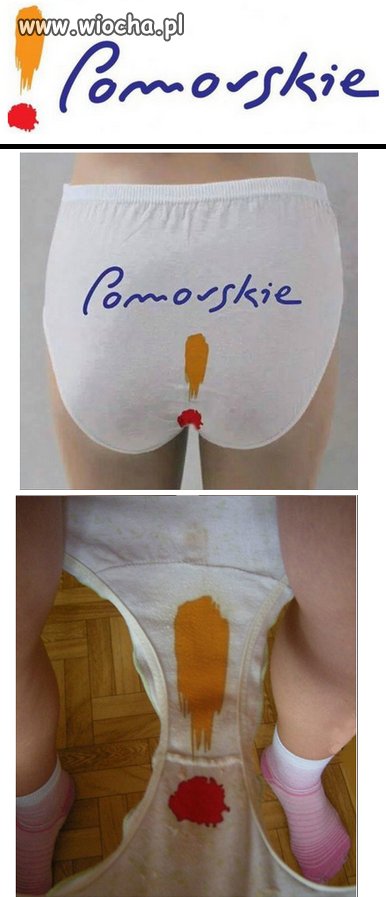 Nowe logo województwa pomorskiego