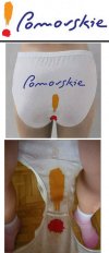 Nowe logo województwa pomorskiego