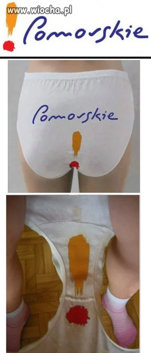 Nowe logo województwa pomorskiego