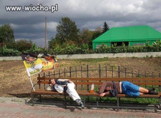 To  Ci co IQ mają za wysokie