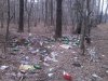 "Leśny piknik" 