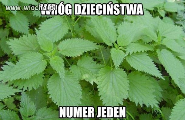 Wróg