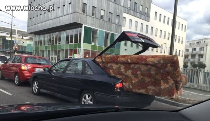 Nowy nabytek.