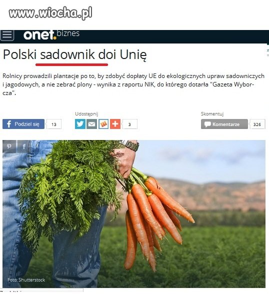 Zdaniem łonetu  