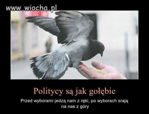 Politycy ...