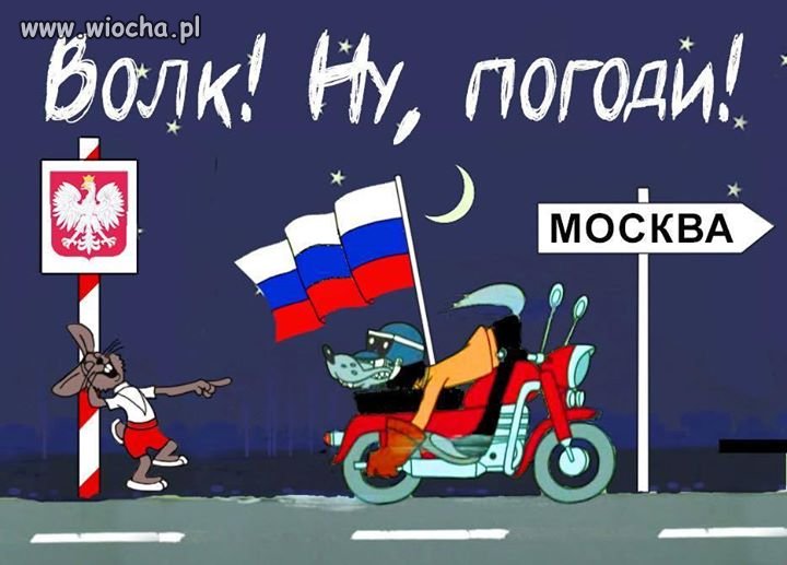 Nie taki wilk straszny
