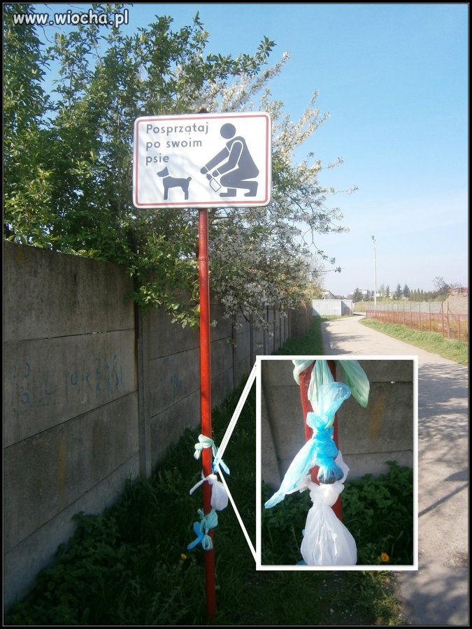 Czasami szczere chęci