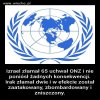 Żydzi mogą wszystko i są bezkarni