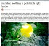 Już na Onecie pokazują wam gdzie macie zbierać 