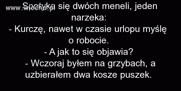 Dwóch meneli