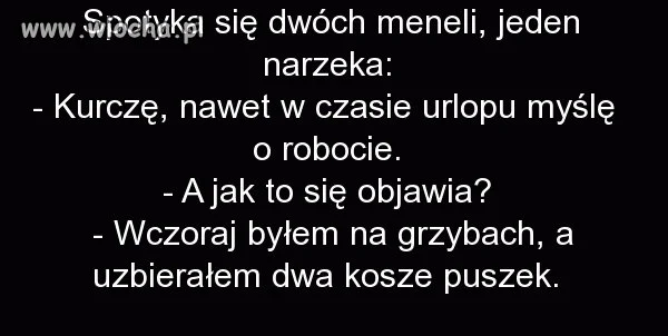 Dwóch meneli