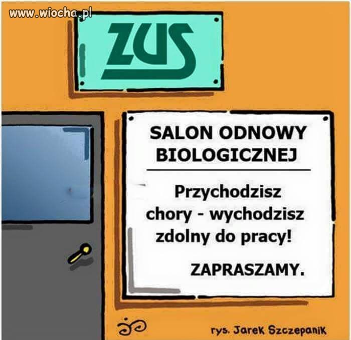 ZUS i wszystko jasne 