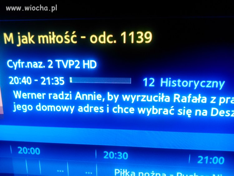 Historyczny tasiemiec