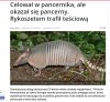 Koniecznie powinna się