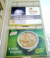 Wyczucie smaku