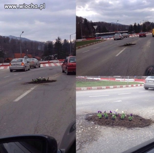 Ktoś posadził kwiatki na drodze