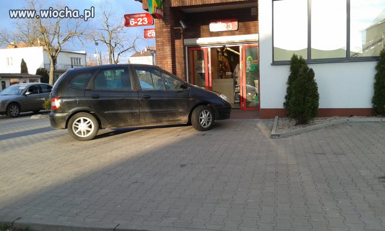 Leniwiec
