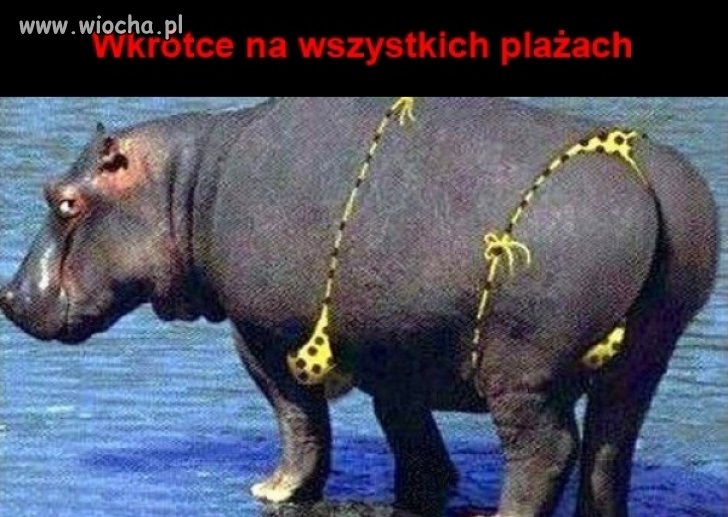Luśka już się szykuje.