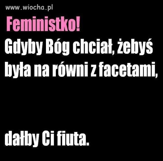 Do feministek!