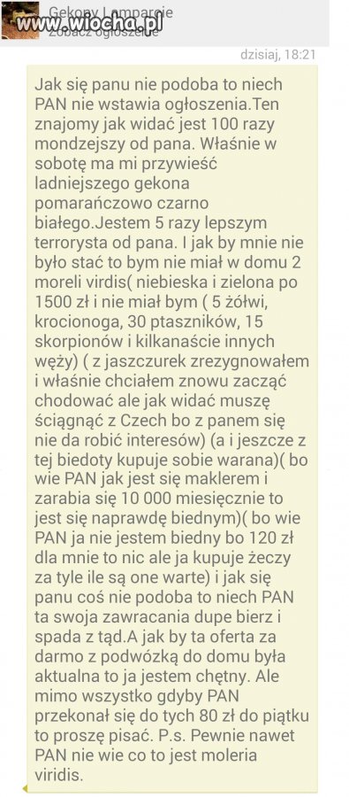 Makler-terrorysta w akcji