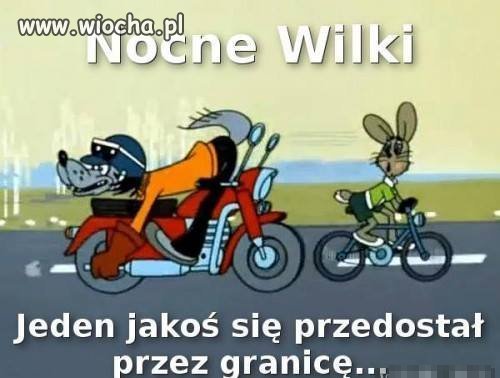 Nocne wilki