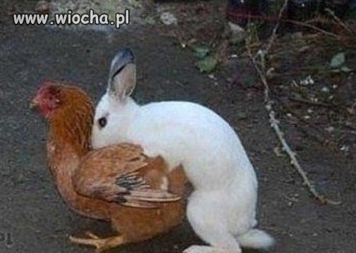 Tak powstają
