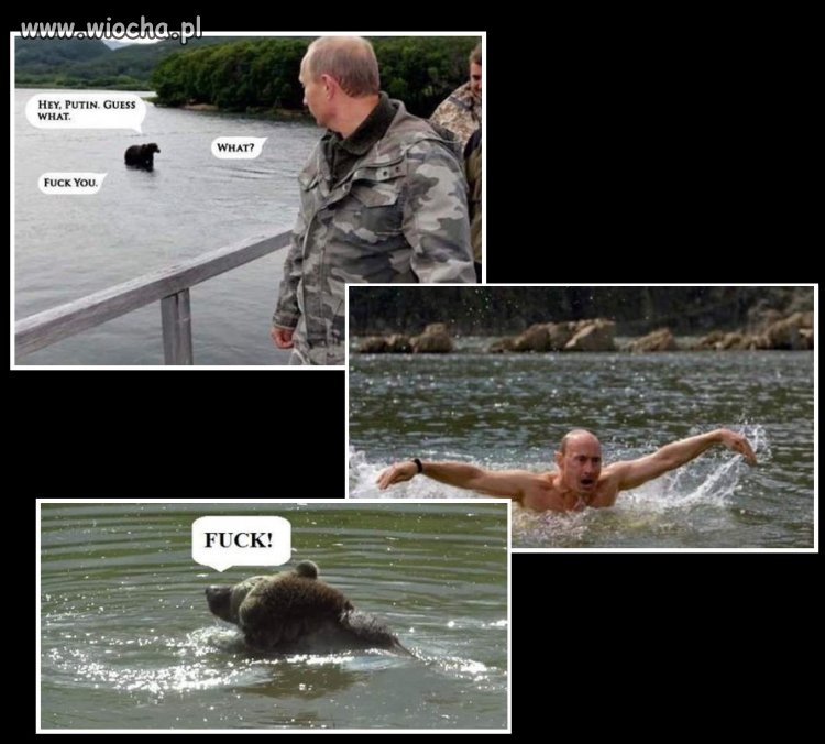 W Rosji nawet niedźwiedzie boją się Putina
