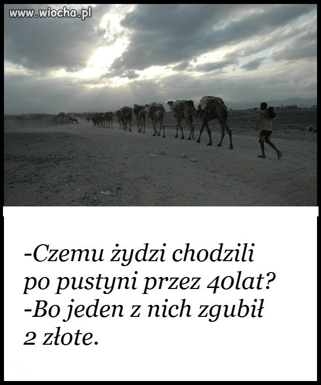 Naród