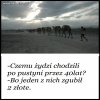 Naród