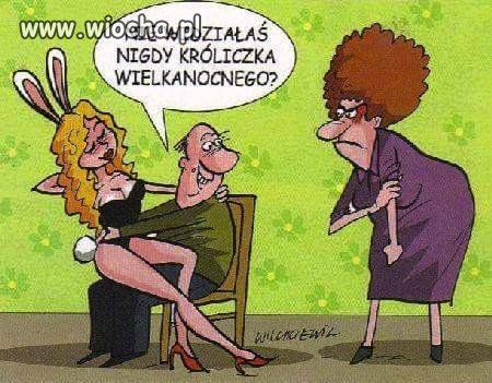 Króliczka nie widziałaś??