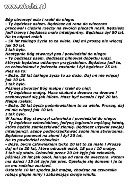 Jak Bóg stworzył zwierzęta