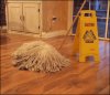 Żywy mop