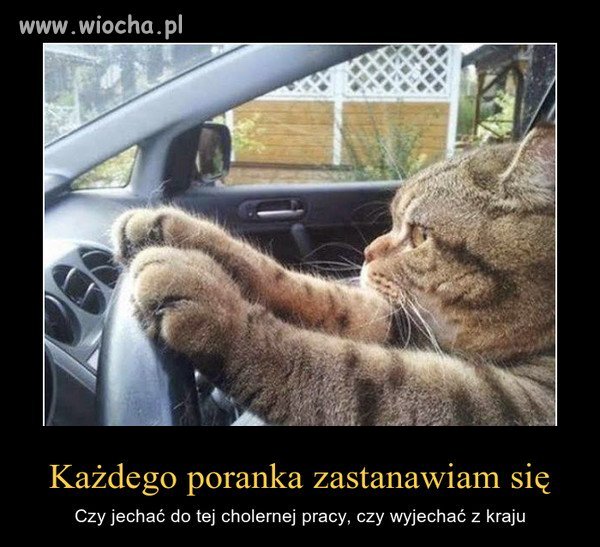Odwieczny dylemat
