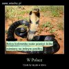 Bo to Polska...