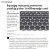 Wszystko jak zwykle zaprzepaszczone 
