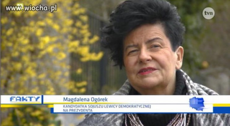 Sztuka kamuflażu