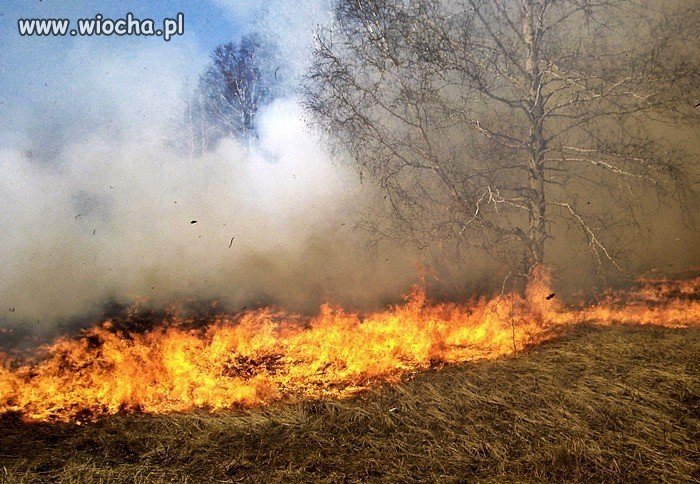 Zaczęło się wypalanie łąk!