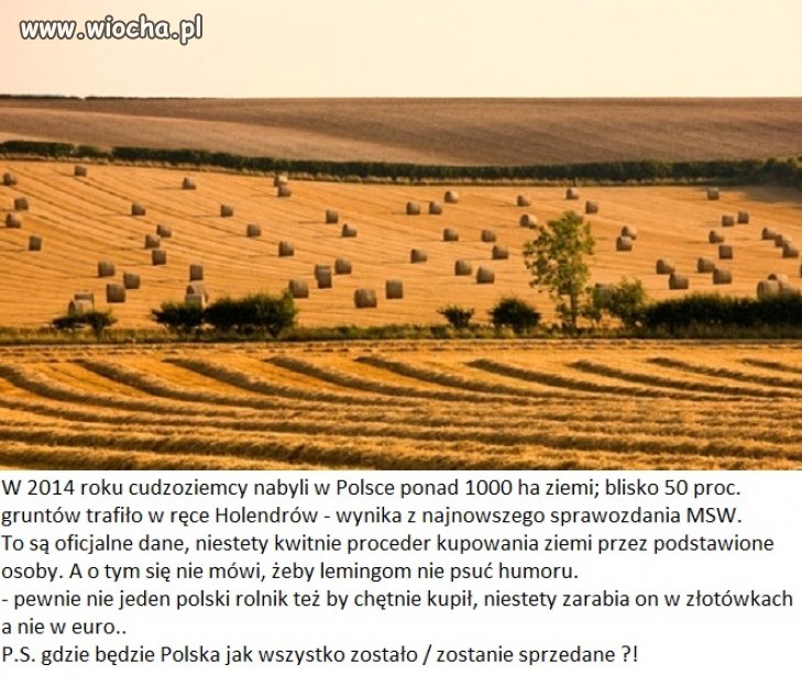 Sprzedaliśmy już przemysł,
