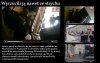 W obstawie policji wyrzucił ją z mieszkania