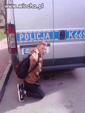KOZAK W NECIE PIZ... W ŚWIECIE