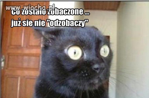 Co zostało zobaczone ... już się nie "odzobaczy"