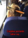 Ach te ciężkie wstawanie w poniedziałek 