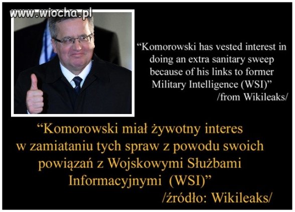 WikiLeaks ujawnia maile 