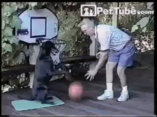 Ze zwierzęciem.