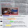 No to grubo