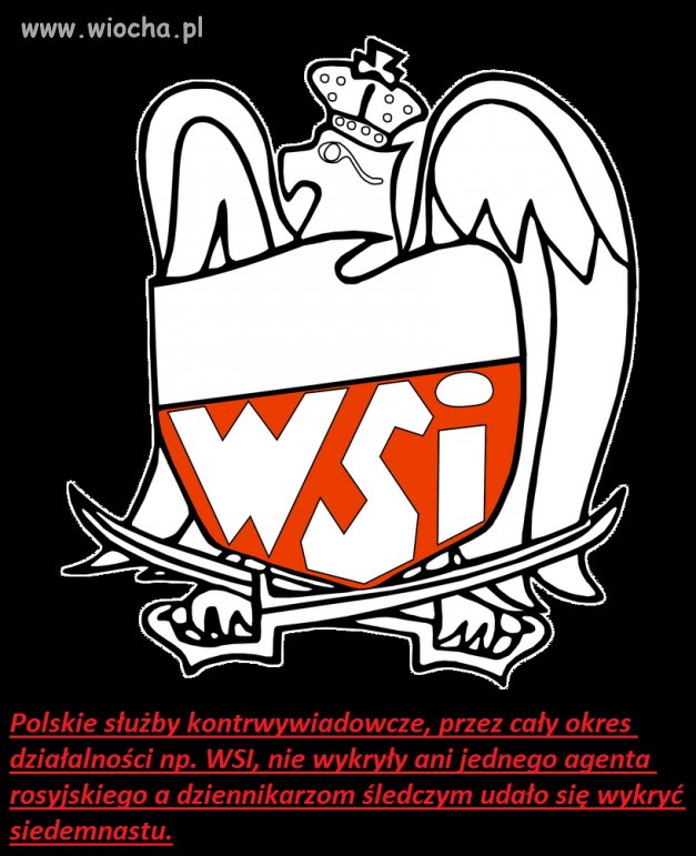 Polskie służby