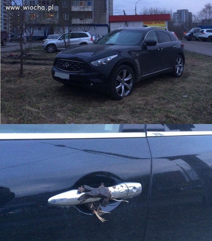 Ładnie zaparkował