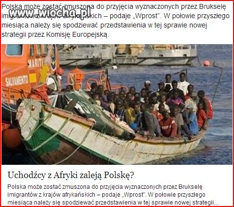 Oto wizja Polski