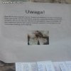 Zaginęła  mucha !